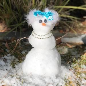 Meet your Posher, Becky